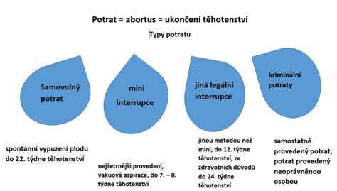 prevencia potratu