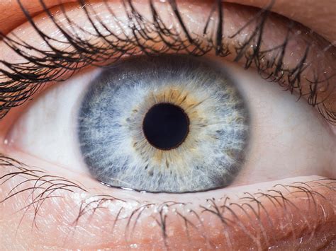 Ilustrácia oka s okluzorom