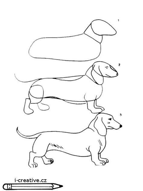 postup kreslenia sediaceho psa