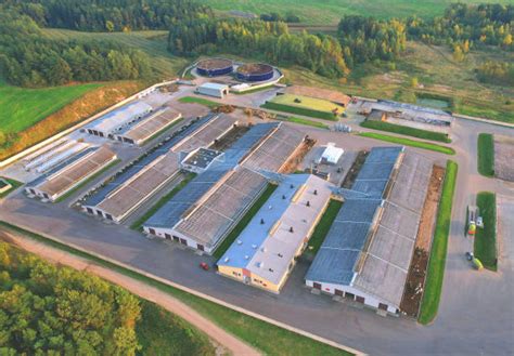 Farma s kravami a mliekom
