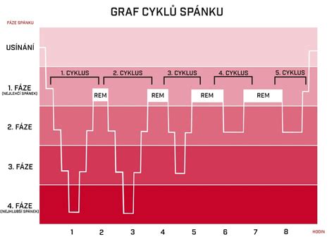 Graf spánkových cyklov bábätka