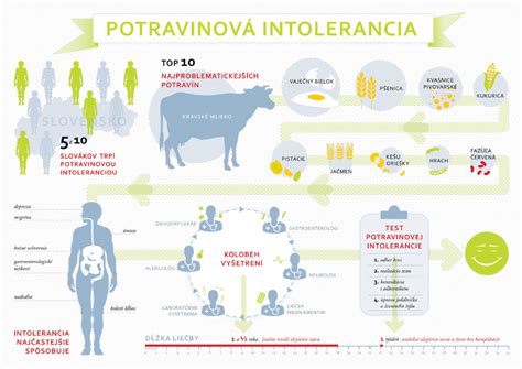 Schéma porovnania potravinovej alergie a intolerancie