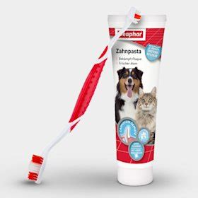 Starostlivosť o srsť a zuby amerického pitbulteriéra