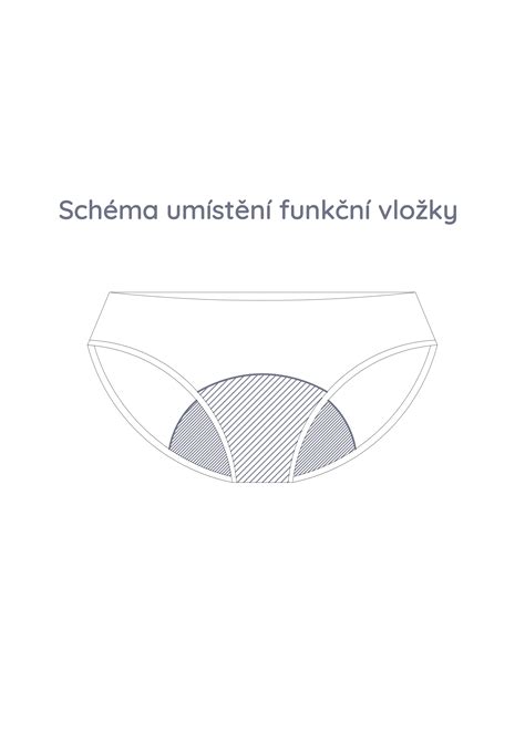 Schéma aniónovej vložky