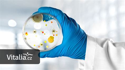 Schéma pôsobenia antibiotika