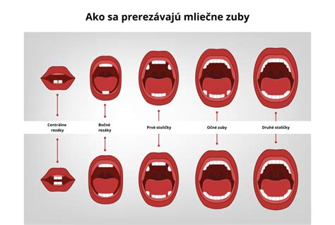 Vývoj mliečnych zubov u detí
