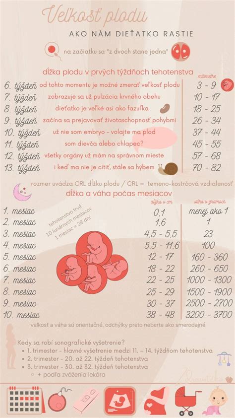 infografika o prvých pohyboch plodu