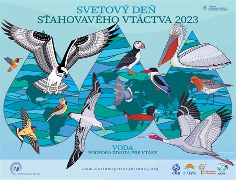 Svetový deň sťahovavého vtáctva