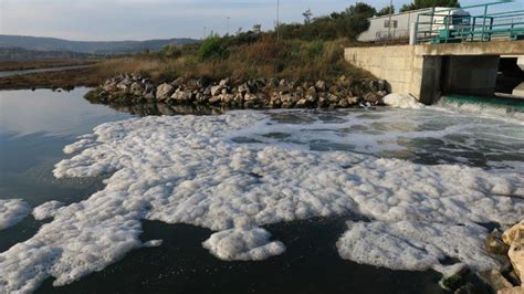 Morska pena a zrodenie Afrodity