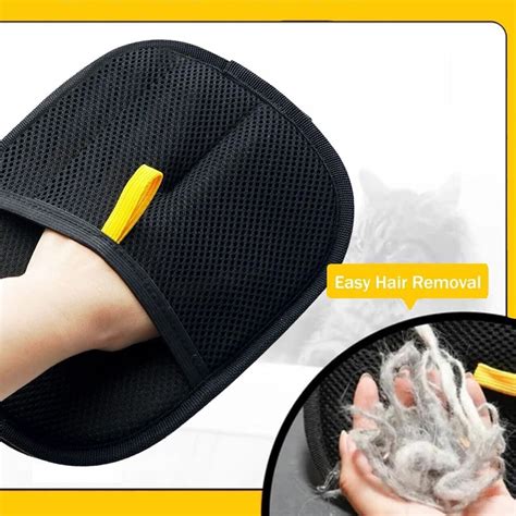 farebná variácia srsti zvierat