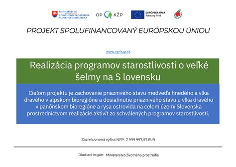 Grafické znázornenie reformy starostlivosti o deti na Slovensku