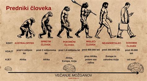 Vývojová línia primátov