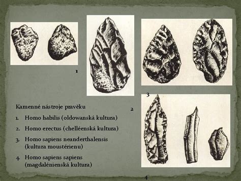 Nástroje Homo Habilis a Homo Erectus