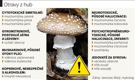 Porovnanie príznakov otravy a infekcie z jedla