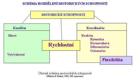 Motorické schopnosti novorodenca