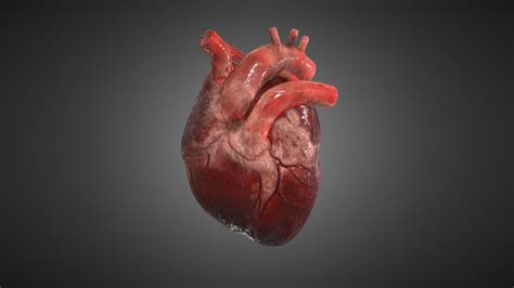3D model ochrannej známky