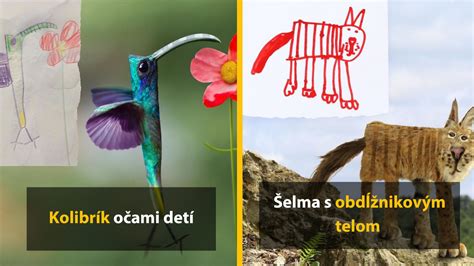 Detské kresby zarámované na stene