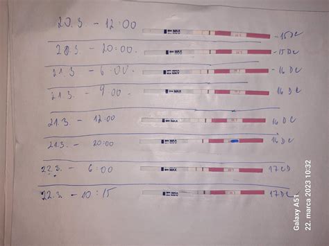 Rozdiel medzi kontrolnou (C) a testovacou (T) líniou na ovulačnom teste