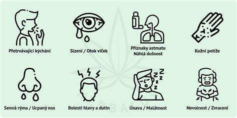 Ilustrácia alergie a astmy