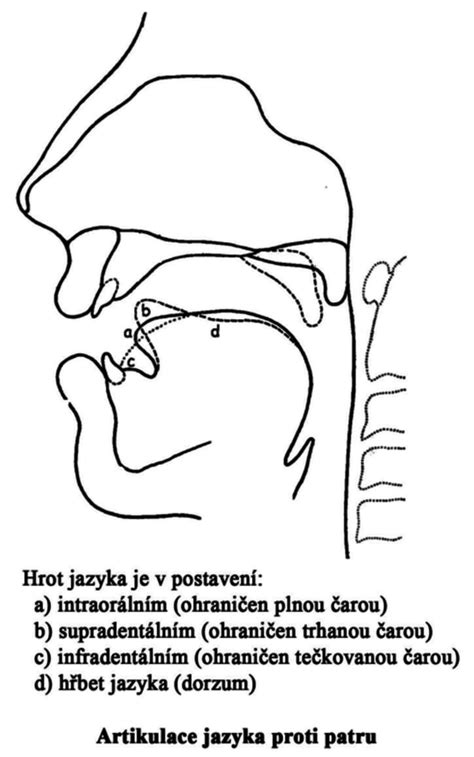 Schéma správneho postavenia jazyka a pier pri výslovnosti hlásky R