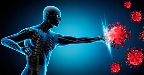 Imunitný systém dieťaťa