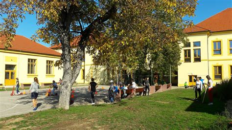 Deti hrajúce sa na školskom dvore s preliezkami a hojdačkami