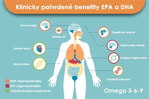 Infografika o potravinách bohatých na antioxidanty a omega-3 mastné kyseliny