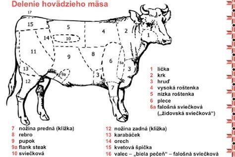 Infografika o šírení brucelózy u hovädzieho dobytka
