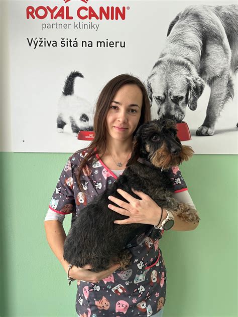 Veterinárna prehliadka bulteriéra