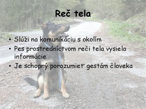 pes počúva