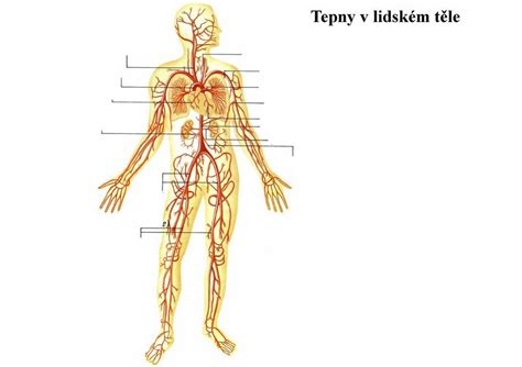 Mapa toxínov v tele