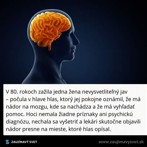 Ilustrácia ľudského mozgu
