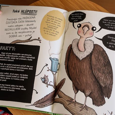 Ilustrácia k diktátu o zvieratách