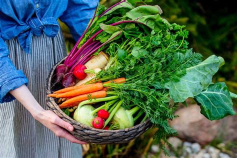 Rôzne druhy zeleniny a syra na prípravu hamburgerov