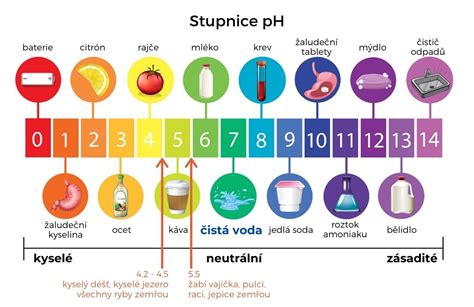 Grafické znázornenie pH stupnice