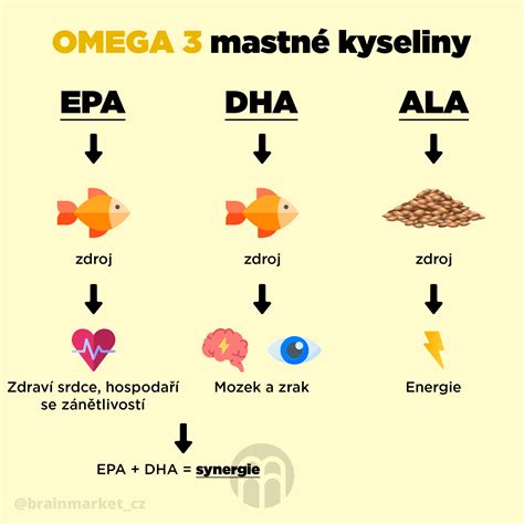 Ilustrácia rôznych druhov rýb bohatých na omega-3 mastné kyseliny