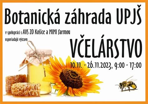 Ilustrácia rôznych druhov medu a včelích produktov