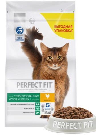 Zloženie zdravej stravy pre mačky