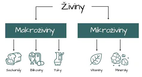Zloženie zdravej stravy: makro a mikroživiny