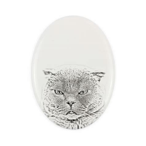 obézna mačka porovnaná so zdravou mačkou