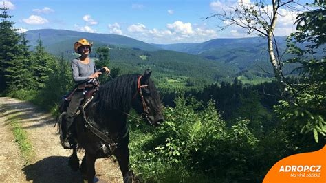 Žena pracujúca s lesnou technikou a koňmi