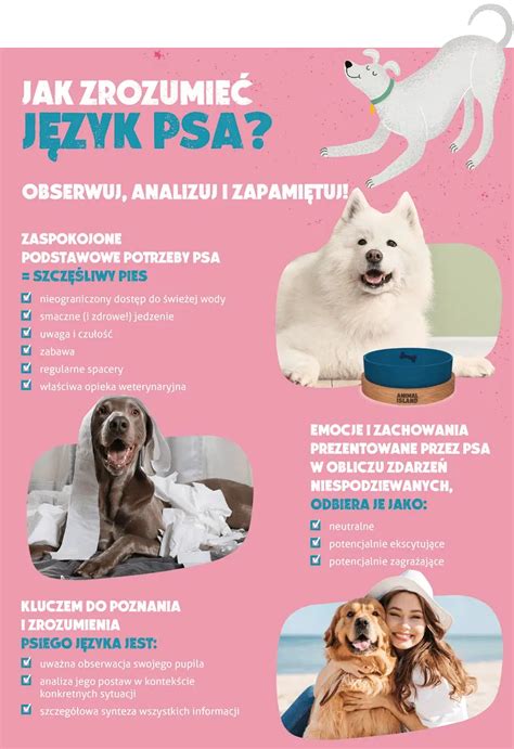 Infografika tráviaceho systému psa