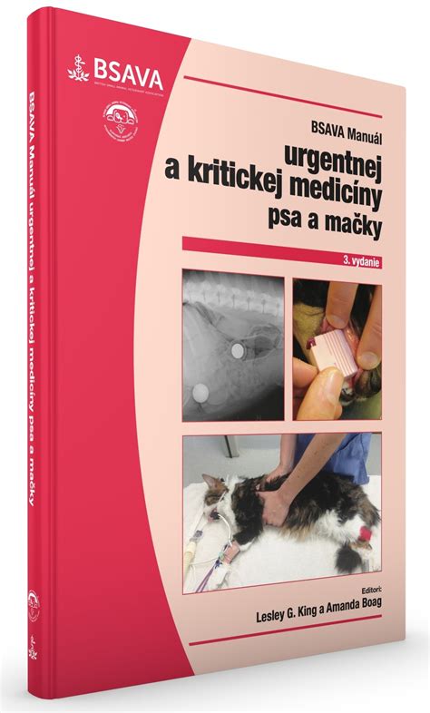Ilustrácia psa a mačky