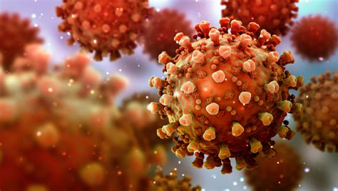 Ilustrácia vírusov a baktérií spôsobujúcich gastroenteritídu
