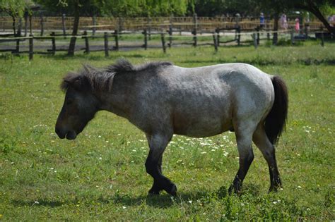 ilustrácia znázorňujúca hranice osobného priestoru