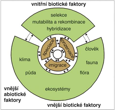 Schéma vaginálnej flóry