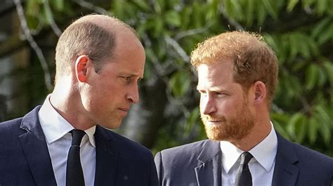 Princ Harry hovorí o ochrane súkromia detí