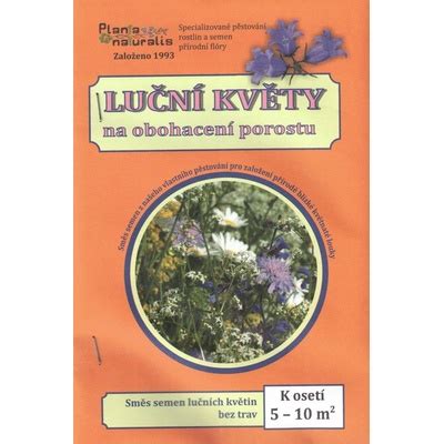 Ilustrácia lúčnych kvetov