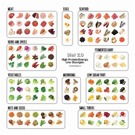 Štruktúra makronutrientov v low carb diéte