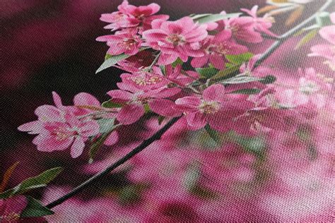 Detailné zobrazenie maľovania kvetov